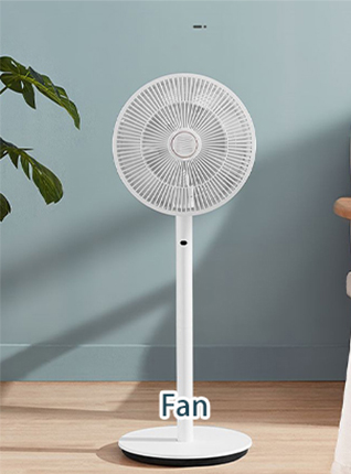 Fan